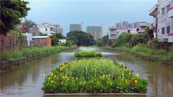 绿色发展立潮头——广东污染防治攻坚战综述