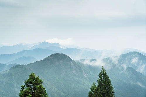 看两会丨生态财富 人不负青山，青山定不负人